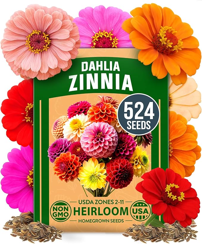 HOME GROWN Zinnia Dahlia Seeds Pack for 2026 Non GMO 524 Flower Seeds | Vibrant Zinnia Elegans for Pollinator Gardens, Borders & Containers | Easy-to-Grow Outdoor Blooms