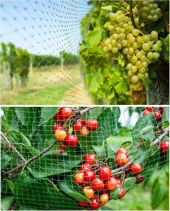 CandyHome 13Ft x 33Ft Anti Bird Protection Mesh Garden Netting Seedlings Plants Flowers Fruit Trees Vegetables from Rodents Deer Reusable Fencing, Green