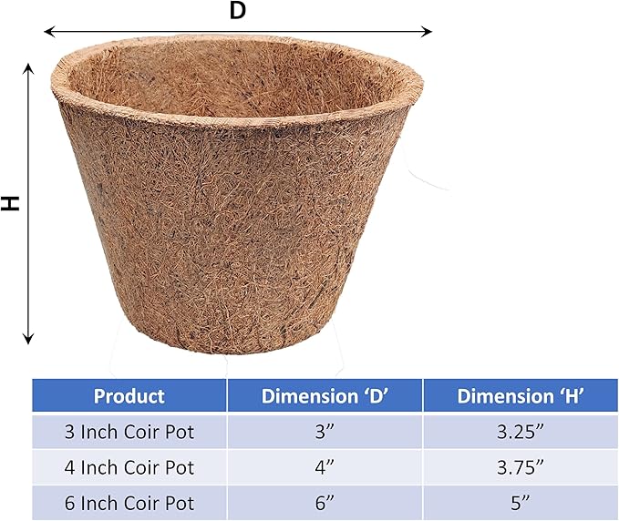 Deepthi 3-Inch Coco Coir Nursery Pots – Pack of 12 Biodegradable Seed Starter Cups – Organic Coir Peat Pots for Seedlings, Herbs, Indoor/Outdoor Gardening – Eco-Friendly Planting Pots