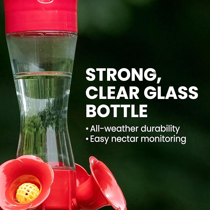 Perky-Pet 203CPBN Glass Hummingbird Feeder for Outdoors with Perches, Ant Moat, Bee Guards - Pack of 1