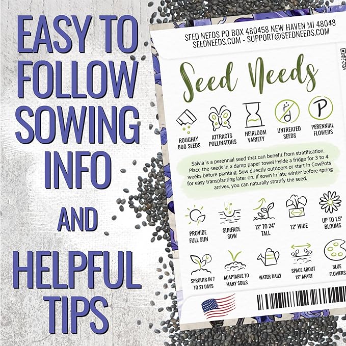 Seed Needs Sapphire Blue Sage Seeds for Planting - Heirloom & Open Pollinated Salvia - Grow a Butterfly Garden with Perennial Flowering Plants (5 Packs)