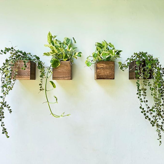 LaLaGreen Wood Planter Boxes (4x4 Inch, 4 Pack) Small Square Wooden Wall Mounted Flower Pot for Indoor Plants, Window Box Mount Hanging Herb Planters Outdoor Plant Holder Vertical Garden Home Decor