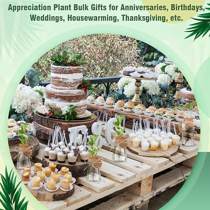 Baderke 24 Pack 3.35'' Plastic Plant Propagation Stations with Hole Lid Planter Vase Clear Propagation Jars with Thank You Tags for Plant Lover Gifts for Women Office Home Garden