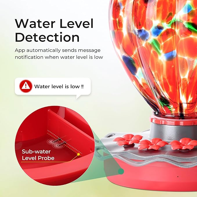 Smart Glass Hummingbird Feeder with Camera Solar Powered 2K- AI Identify & Water Detection, Instant Notification, Leakproof & Ant Moat TT Nature