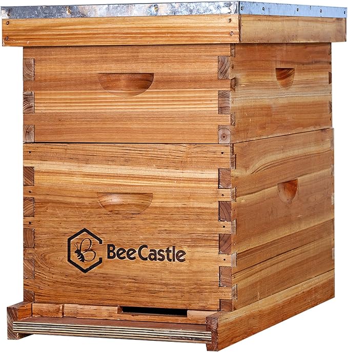 BeeCastle 8 Frame Langstroth Bee Hive Coated with Beeswax Includes Beehive Frames and Waxed Foundations (1 Deep Box & 1 Medium Box)