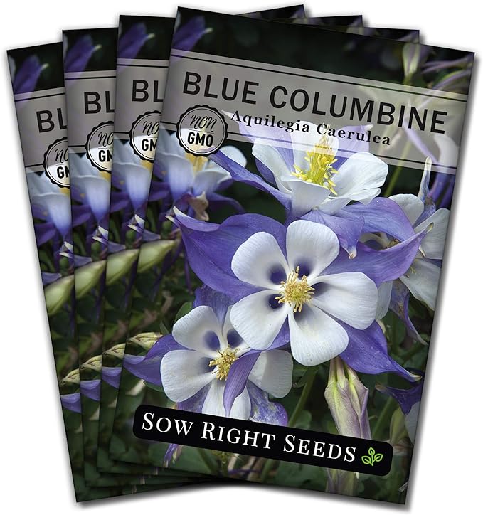 Sow Right Seeds - Blue Columbine Flower Seeds to Plant - Non-GMO Heirloom Packet With Instructions to Plant in Your Garden- Beautiful Perennial Flowers - Attract Hummingbirds, Bees and Butterflies (4)