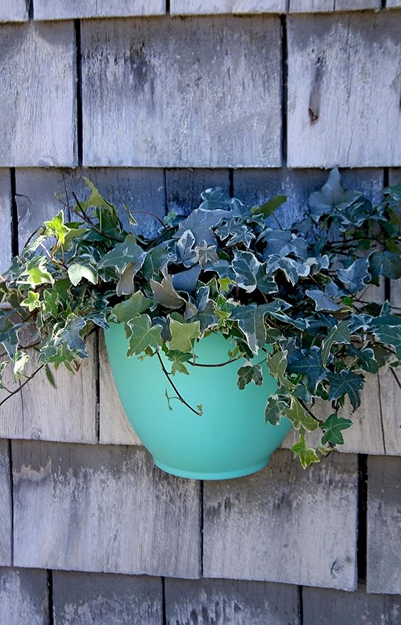 The HC Companies 8 Inch Garden Wall Planter - Plastic Hanging Plant Pot for Indoor Outdoor Flowers, Herbs, White