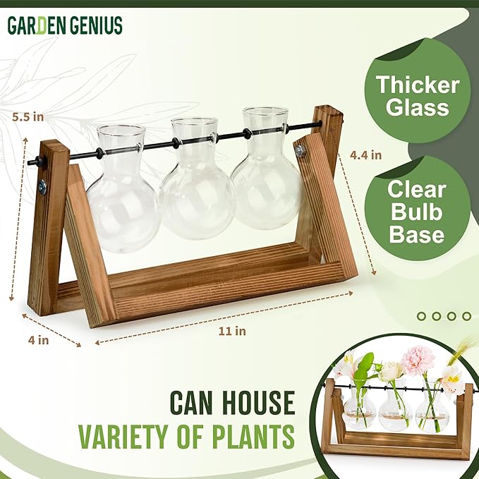Glass Propagation Station with Wooden Stand – 3 Bulb Vase Plant Terrarium for Home & Office | Ideal Christmas, New Year & Birthday Gift for Plant Lovers, Moms | Hydroponic Desktop Planter Set