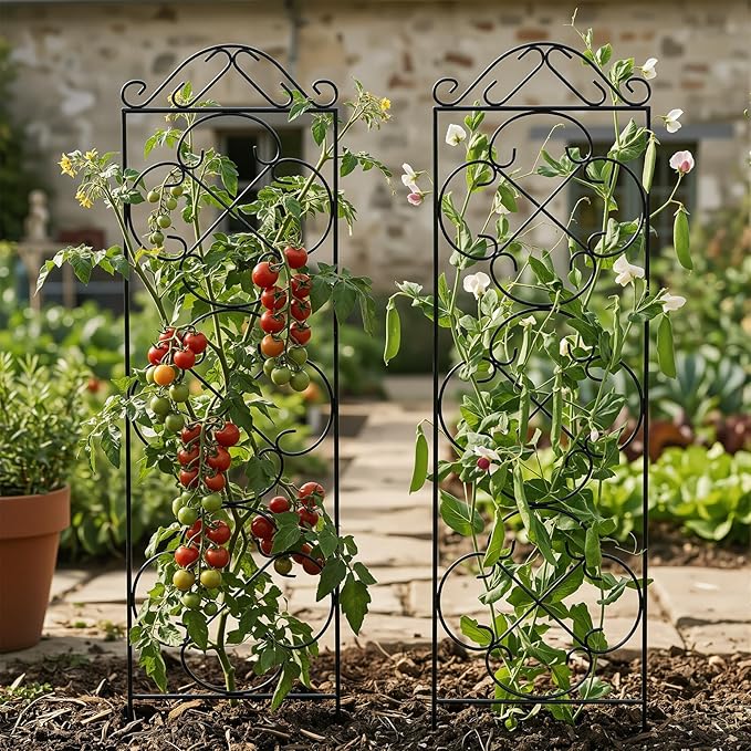 Garden Trellis 4 Pack 48'' H x 12.5'' W Metal Plant Climbing Trellis Suitable for Potted Plants Indoor and Outdoor Climbing Plants Flower Ivy Clematis Black