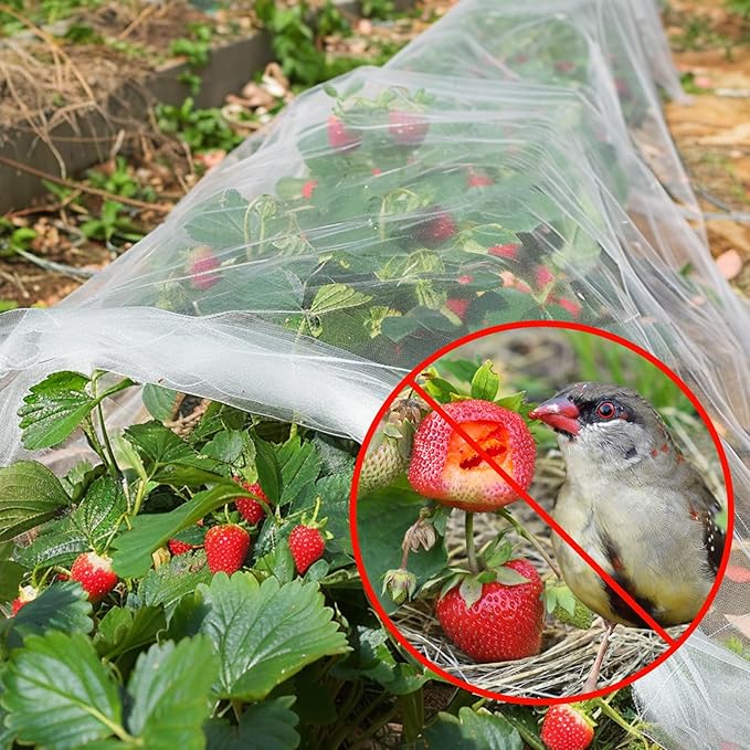 GonLei Garden Netting 2Pack 8X10FTPlants Garden Mesh Berry Netting Outdoor Mosquito Net,Garden Bed Fruit Tree Blueberry Shrubs Netting Plant Covers Row Vegetables Protection Barrier Net