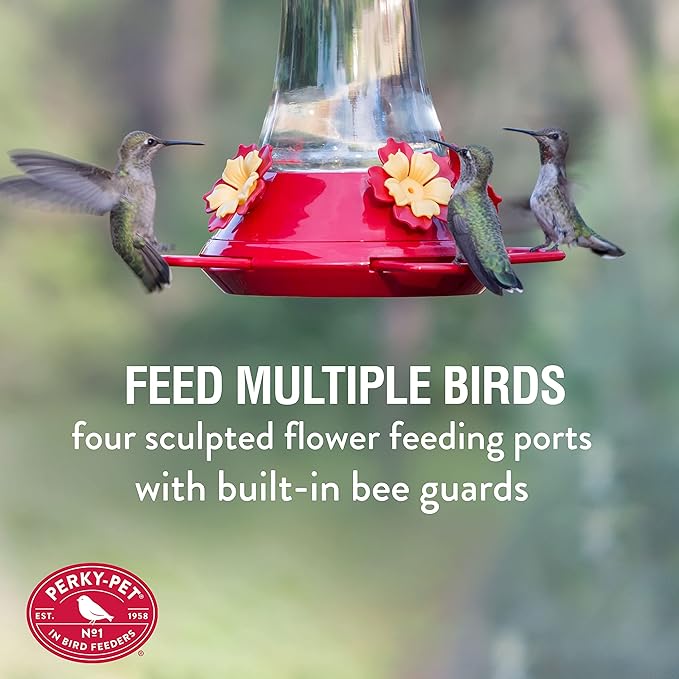 Perky-Pet 476 Glass 20-Ounce Hummingbird Feeder