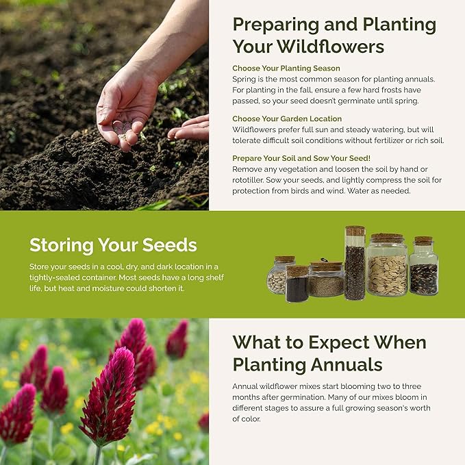 Eden Brothers Bee Happy Organic Wildflower Mixed Seeds for Planting, 1 oz, 30,000+ Seeds with Cosmos, Crimson Clover | Attracts Pollinators, Plant in Spring or Fall, Zones 3, 4, 5, 6, 7, 8, 9, 10