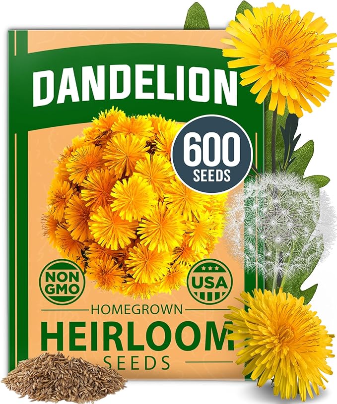 HOME GROWN Flower Seeds Giant (Dandelion, 1-Pack)
