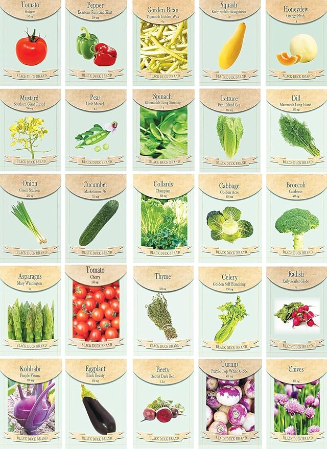 Set of 25 Premium Deluxe Seed Kits - Features Premade Packs of Our Best Seeds - Help Local Pollinators (Set One)