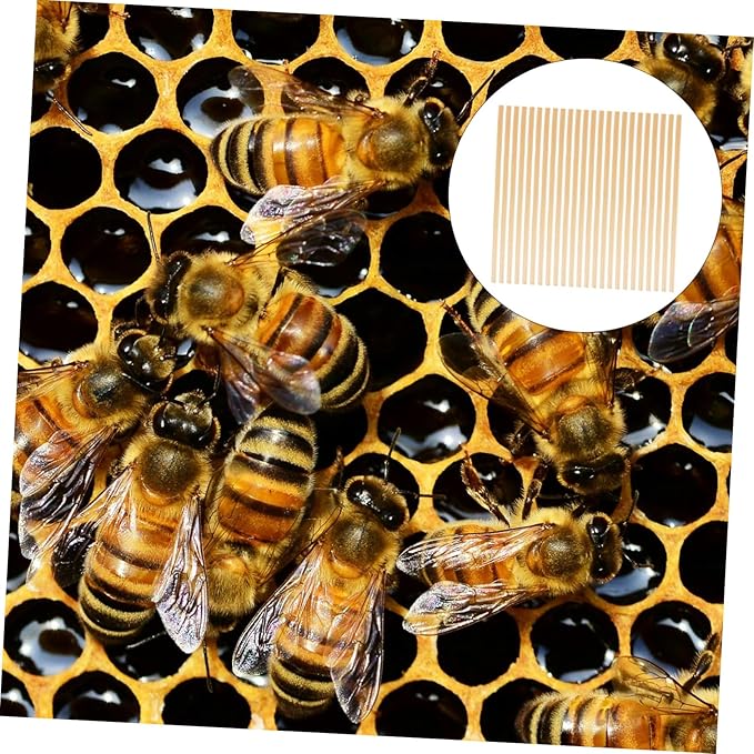 VANZACK 500pcs Beehive Straw Bee Tubes Easy Install Move Nesting Tubes for Beekeeping