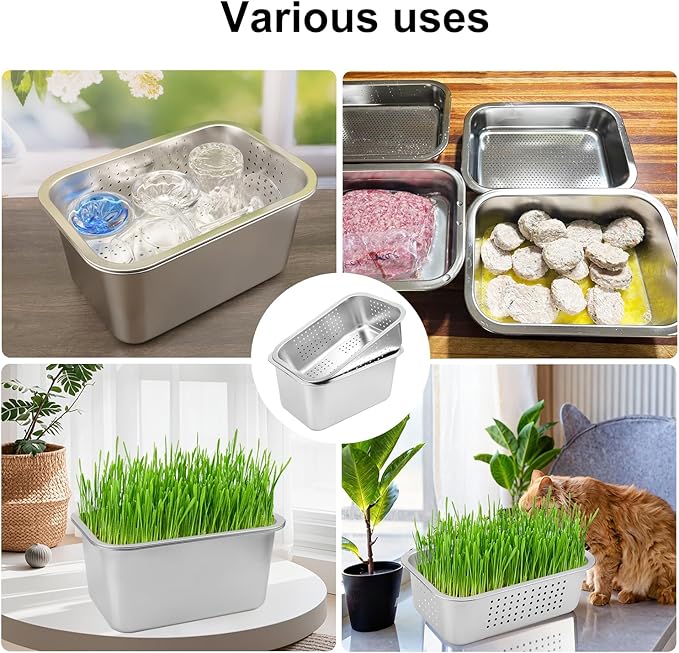 2 Set (4 Pack) Stainless Steel Sprouting Tray, 13 x 9 inches Stainless Steel Germination Trays for Indoor Microgreens, Broccoli Sprouts & Wheatgrass