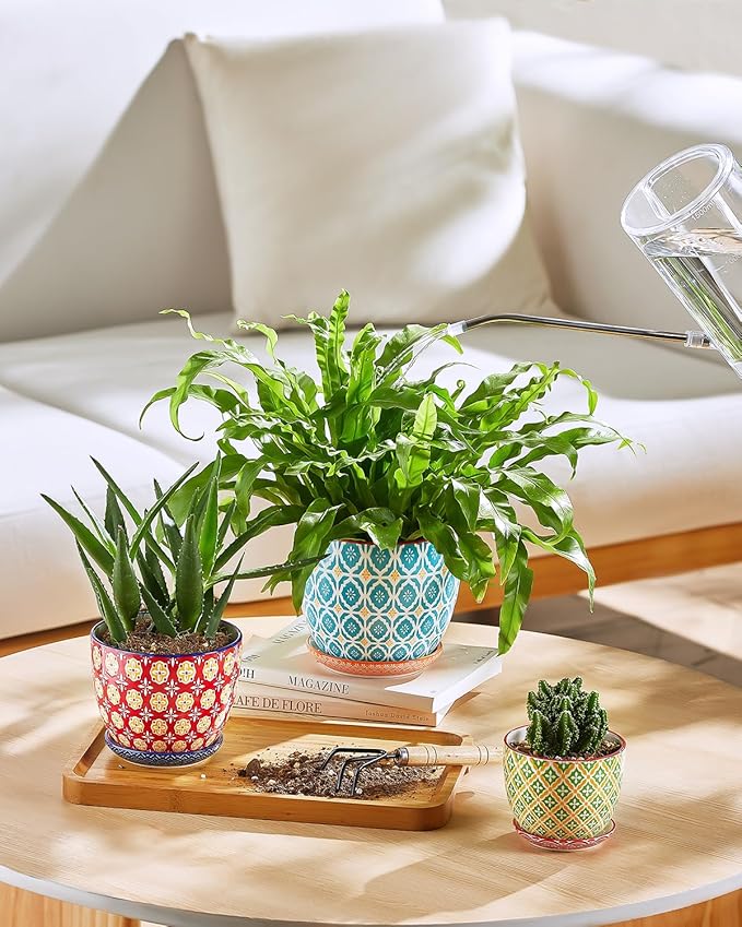 Succulent Ceramic Pots, 3.8 Inch Small Plant Pots with Drainage Hole & Saucer, Flower Planter Pot for Houseplants, Cacti, Home Decor, Set of 4, Vibrant Colors