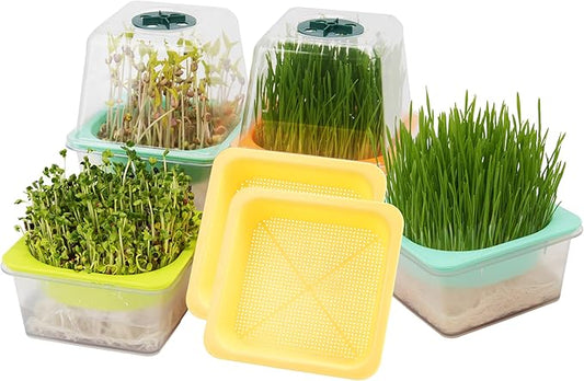 Microgreen Growing Trays, 5" x 5" Sprouting Tray with Humidity Dome, 1.2 mm Small Mesh Holes, BPA Free, Sprouter Kit for Growing Mirco Seeds, Like Broccoli, Alfalfa, Radish, Clover - 6 Pack | Clear