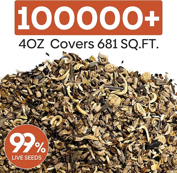 Wildflower Seeds Bulk, 1/4 lb, 100,000+ Seeds, 26 Variety Mix with Zinnia, Milkweek Seed, Attracts Pollinators, Plant in Spring or Fall, Zones 3, 4, 5, 6, 7, 8, 9, 10