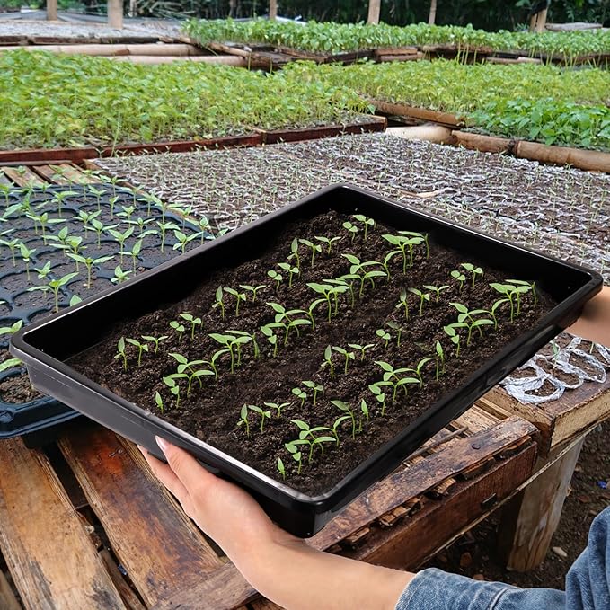 6 Pack Nursery Potting Trays, Plastic Seedling Starter Tray with No Drain Holes, Easy Watering Flat Garden Plant Growing Tray for Indoor Greenhouse Germination, 17.3'' x 11.6'' x 1.3''