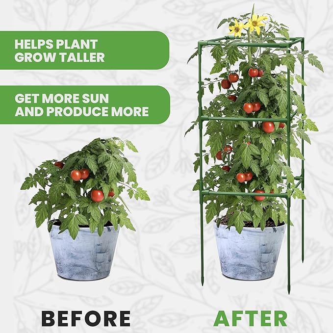 Tomato Cage Square - Large Trellis Stakes and Plant Support Structures for Vegetables and Climbing Plants - Tall Tomato Cages for Garden, Pots, Raised Garden Bed Outdoor Supplies (6 Pack - Up to 41")