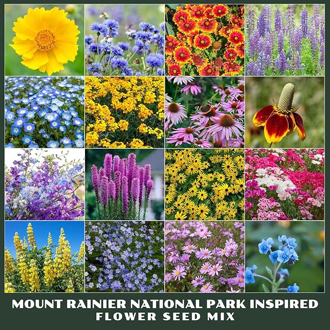 Eden Brothers Mount Rainier National Park Inspired Wildflower Seed Mix
