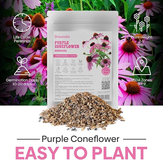 Purple Coneflower Seeds 1 OZ, Perennial Open Pollinated Non-GMO Echinacea Seeds Grown in The USA, Cone Flower Seed for Planting, USDA 3-9