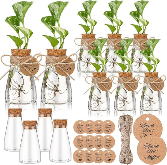 Baderke 12 Pack 3.35'' Plastic Plant Propagation Stations with Hole Lid Planter Vase Clear Propagation Jars with Thank You Tags for Plant Lover Gifts for Women Office Home Garden