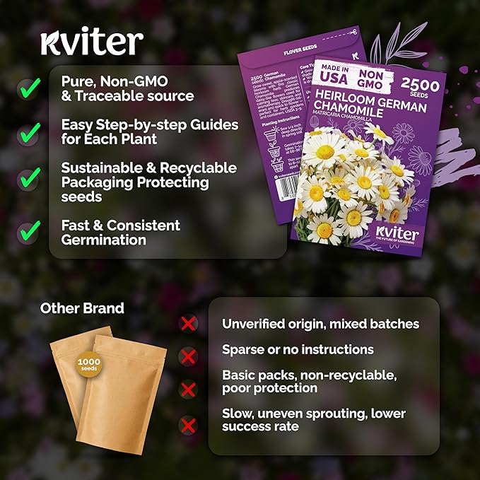KVITER 2,500 German Chamomile Seeds for Planting (Matricaria Chamomilla/Recutita) – Heirloom & Non-Gmo Medicinal Herb Seeds, Flowers for Remedies & Chamomile Tea Organic – Indoors/Outdoors Herb Garden