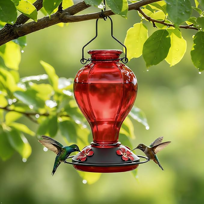 Glass Hummingbird Feeders for Outdoors Hanging, 24oz Wild Bird Nectar Feeder with Ant Moat and 360° Perch, Bee-Resistant Ports,Outside Garden Decor,Colorful Gifts for Women Mom, 1 Pack, Red
