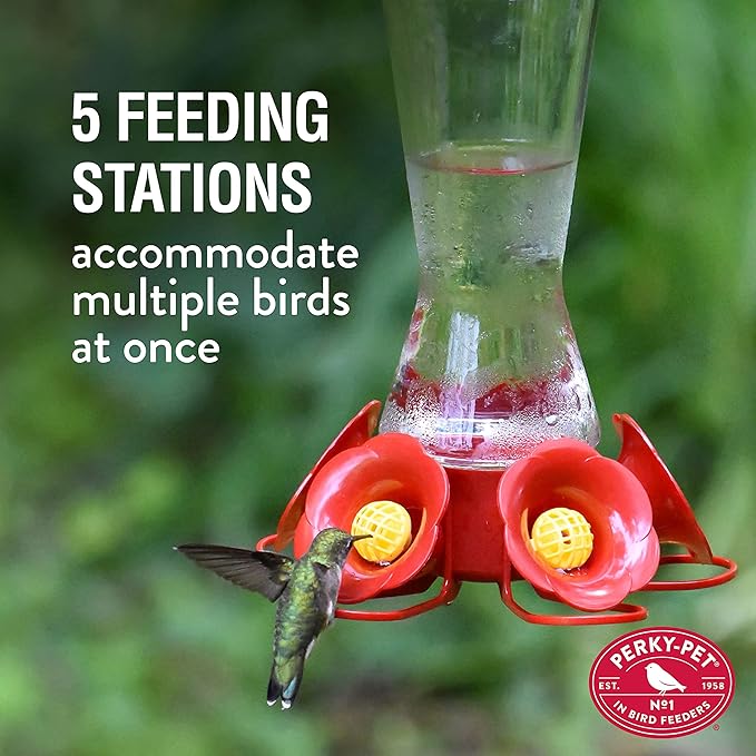 Perky-Pet 204CP-4 Favored Pinch-Waist Glass Hummingbird Feeder with Built-in Ant Moat and Bee Guards - 16 oz (Pack of 2)