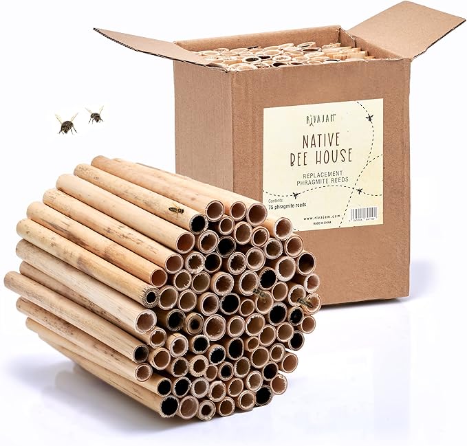 Rivajam 75 Phragmite Reed Mason Bee Tubes | Recommended for Garden Starter Kits & Solitary Bee Hive Supplies