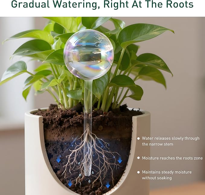 Large Extra-Thick Clear Glass Plant Watering Globes, Rainbow Gradient Self Watering Devices for Indoor & Outdoor Plants, AutomaticWaterer Spikes, Perfect for Daily or Vacation Use, 2-Pack