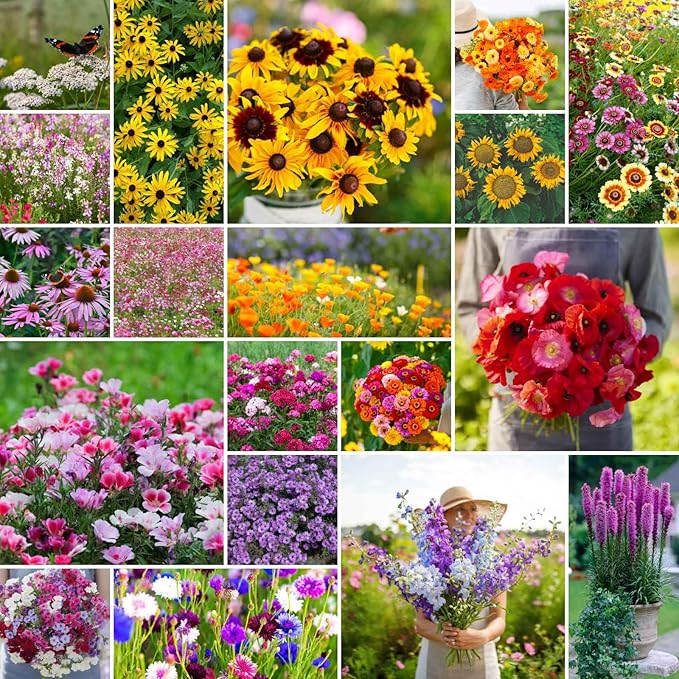 Eden Brothers Late Bloomer Wildflower Mixed Seeds for Planting, 1/4 lb, 120,000+ Seeds with White Yarrow, Snapdragon | Attracts Pollinators, Plant in Spring or Fall, Zones 3, 4, 5, 6, 7, 8, 9, 10