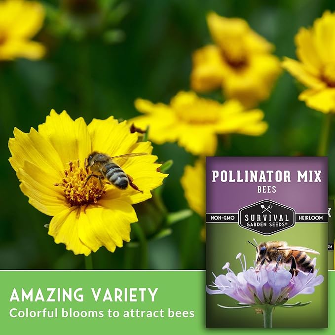 2 Packs Bee Pollinator Mix Seed for Planting - Packet with Instructions to Grow Annual & Perennial Flowers to Feed Bees in Your Home Garden - Non-GMO Heirloom Varieties - Survival Garden Seeds