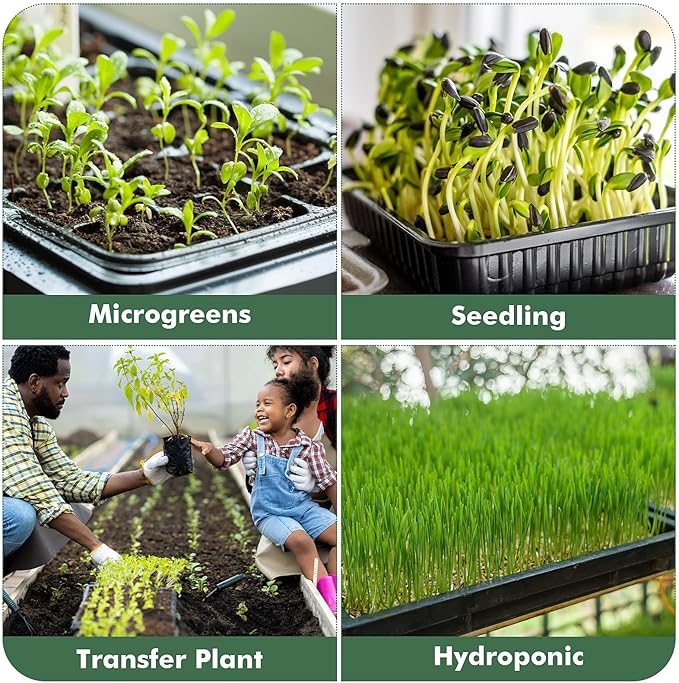 Sckee Upgraded 20 Pack Plant Growing Trays Seed Starting Tray Microgreens Growing Trays Seedling Plant Germination Starter Tray Transplant Fodder Flats, No Holes, No Leakage, Reusable (1017)