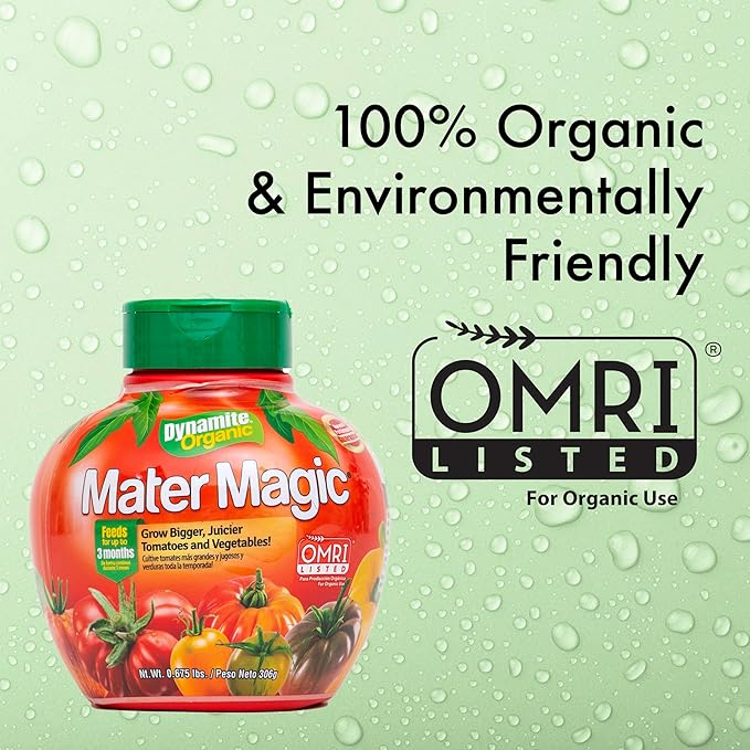 Dynamite Mater Magic - Organic Tomato Fertilizer for Bigger, Juicier Tomatoes and Vegetables, OMRI Listed, Nitrogen and Calcium-Rich Plant Food - .675 Pound Container with Shaker Lid (Pack of 2)
