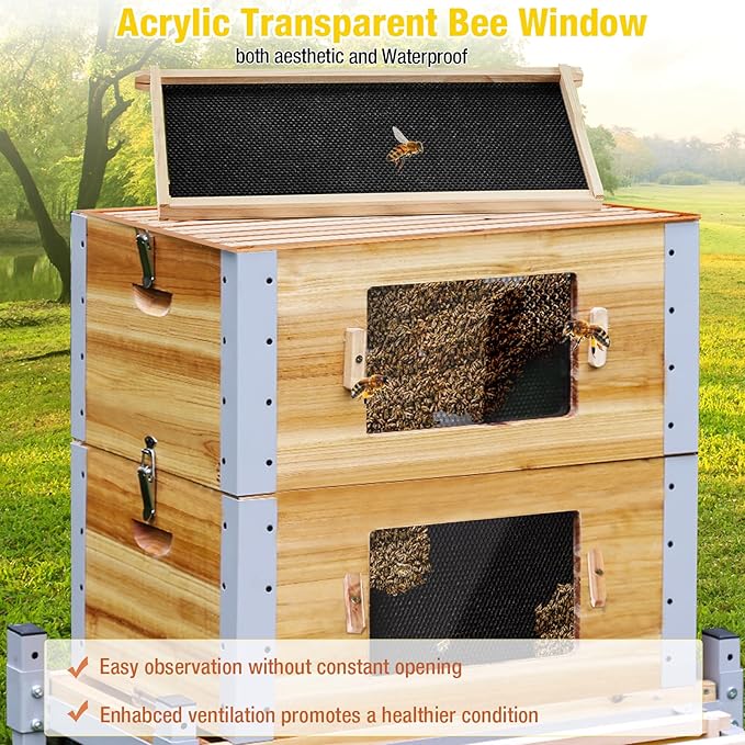 Aivituvin Bee Hive Bee Box 10 Frame Upgrade with All -Around Metal Frame Bee Castle Coated with 100% Beeswax Includes Waxed Foundations,2 Deep Boxes & 1 Medium Box