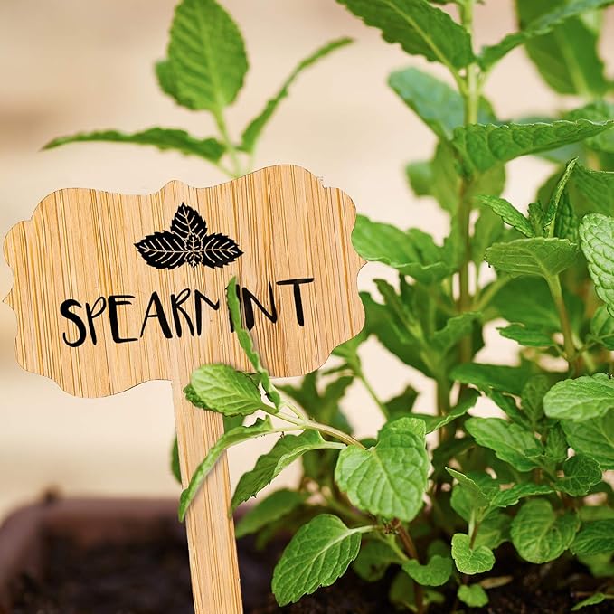 Whaline Bamboo Plant Labels - Thumbnail 2