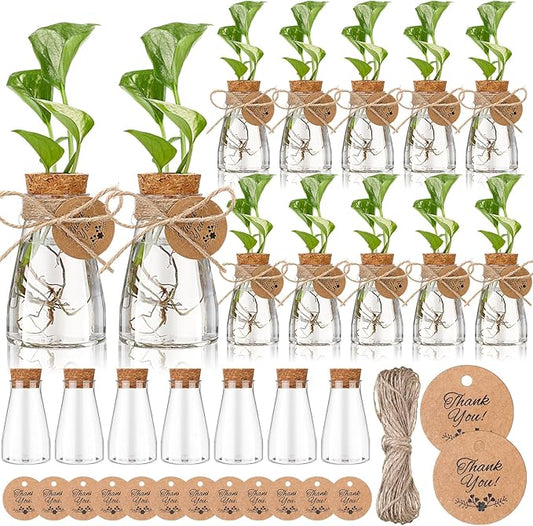 Baderke 24 Pack 3.35'' Plastic Plant Propagation Stations with Hole Lid Planter Vase Clear Propagation Jars with Thank You Tags for Plant Lover Gifts for Women Office Home Garden