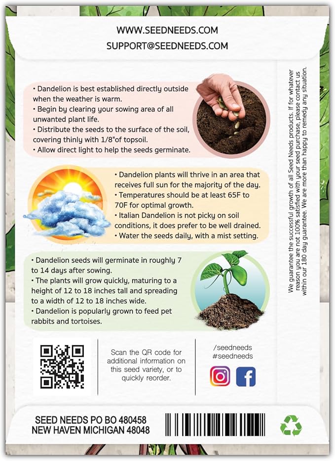 Seed Needs Garnet Stem Dandelion Seeds for Planting - Non-GMO, Heirloom & Untreated Edible Herbs - Grow Your own Food for Tortoises, Rabbits & Bearded Dragons (2 Packs)
