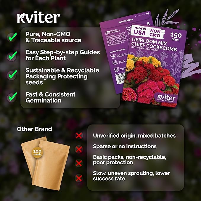 KVITER 150 Chief Mix Cockscomb Seeds (Celosia argentea) – Celosia Seeds for Planting Flowers Vibrant Blooms, Annual Cut Flower Seed Mix – Heat Tolerant Flower Garden Containers, Flowers Beds Outdoors
