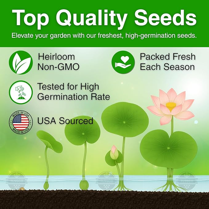 15 Lotus Seeds for Planting, Pack for 2026 USA Premium Non-GMO Seeds - Pink, Red & Green Color, Beautiful Water Plants for Indoor Bonsai, Outdoor Ponds and Gardens