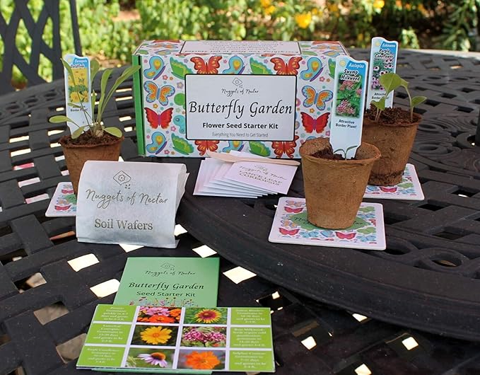 Butterfly Garden Flower Seed Starter Kit - Grow 6 Types of Wildflower Seeds Including Milkweed, Coreopsis, Cosmos, Echinacea, Gaillardia and Zinnia Seeds