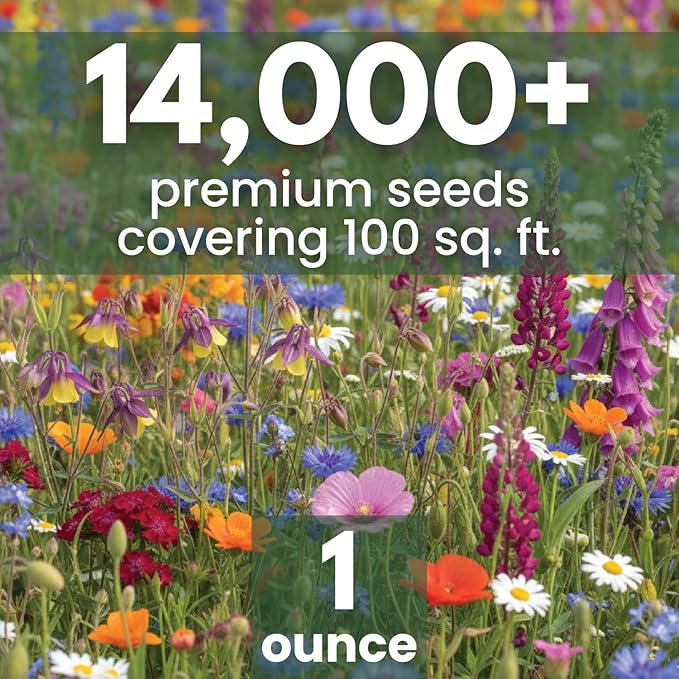 Shade Tolerant Mix – 14,000 Wildflower Seeds for Pollinator Gardens – 2026 Season – 1 Ounce Pouch