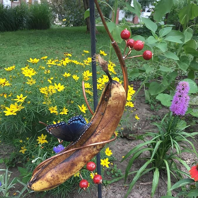 Butterfly Feeders Butterfly Hummingbird Feeder for Outdoor,Mini Hanging Butterfly Banana Feeder, Copper Vine Sturdy Banana Holder, Attract Butterflies, Bees and Birds to Your Garden (1)