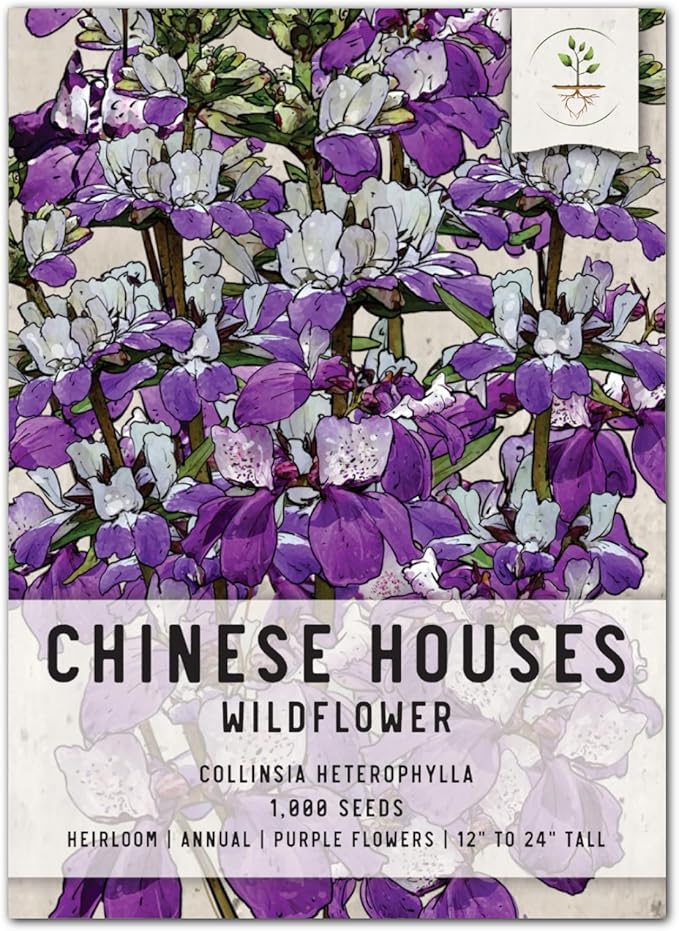Seed Needs, Chinese Houses Seeds - 1,000 Heirloom Seeds for Planting Collinsia heterophylla - Open Pollinated Wildflowers for Growing a Butterfly Garden (1 Pack)