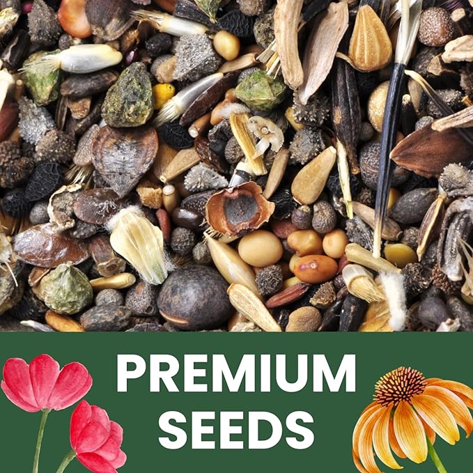 Crazy Cosmos Mix - Large 5g Envelope - 600 Flower Seeds for Planting - Cosmos bipinnatus
