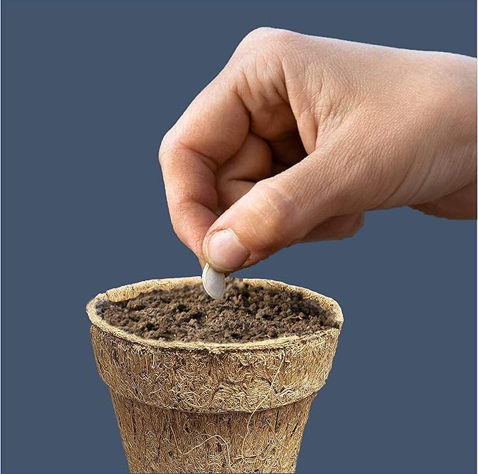 Deepthi 4-Inch Coco Coir Nursery Pots – Pack of 6 Biodegradable Seed Starter Cups – Organic Coir Peat Pots for Seedlings, Herbs, Indoor/Outdoor Gardening – Eco-Friendly Planting Pots