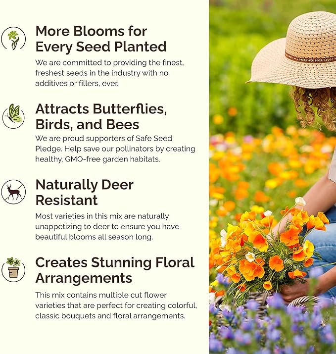 Eden Brothers Dry Area Wildflower Mixed Seeds for Planting, 10 lb, 4,800,000+ Seeds with Cosmos, African Daisy, Blue Flax | Attracts Pollinators, Plant in Spring or Fall, Zones 3, 4, 5, 6, 7, 8, 9, 10